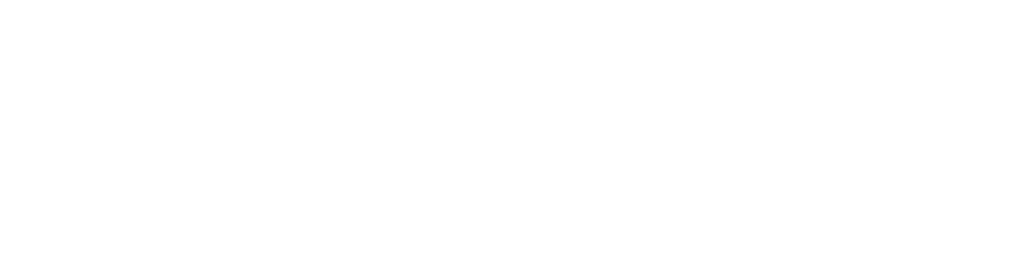 Facilitated Store Logo